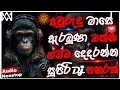 2025 New Sinhala Songs Dj Remix Awrudu Song Dj Nonstop Bass Boosted Party Dance Dj Remix