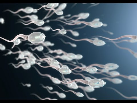 Invivo Medical Clinic Sp. z o.o. Sp. k. - video