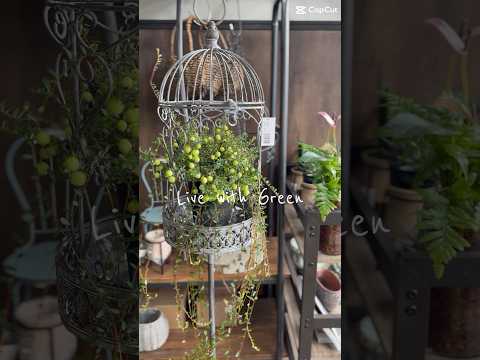 子供のためのガーデニング活動：春に子供たちに提供できる趣味は何ですか？  庭園