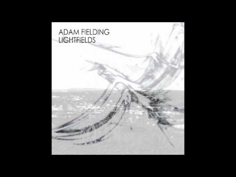 Adam Fielding - Lightfields