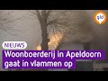 Stel ziet woonboerderij in vlammen opgaan in Apeldoorn