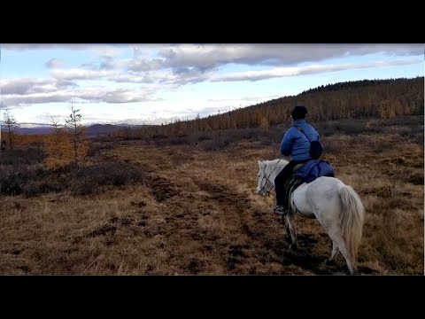 Amazing Autumn Trip through North and West Mongolia
