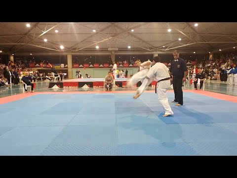 Anatoliy Tomarov(UKR)-Davit Gaboyan(ARM) -70 kg Semifinal IKO Matsushima 10th European Championship