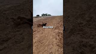 Se Você Ficar Preso Vai Ter Que Pagar Pelo Resgate 😱 #shorts #curiosidades #interessante