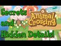 Animal Crossing: New Horizons - Secrets And Hidden Details! (Analysis)