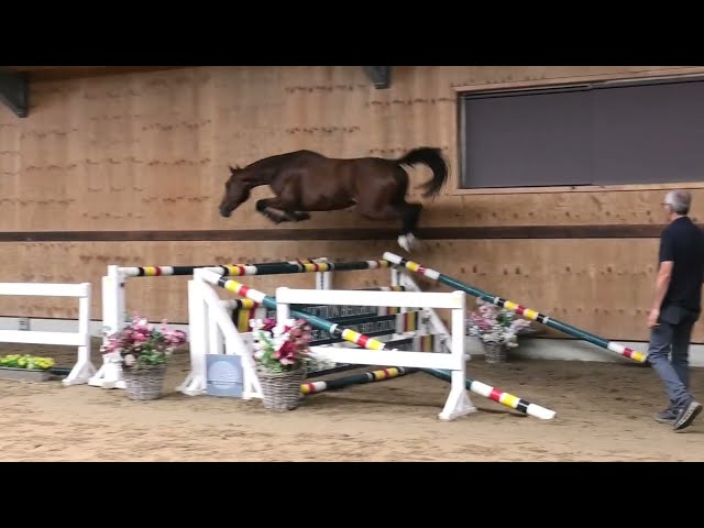 jumping