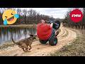 Try Not To Laugh Top 100 Funniest Videos Ever Funny Videos Compilation 2026 104