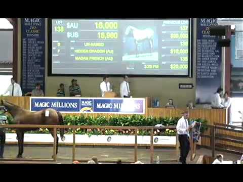 2012 Gold Coast QTIS Sale Lots 1 - 222