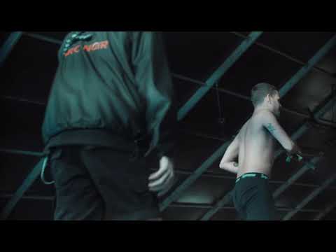 slowthai and fan perform Inglorious (ft. Skepta) @ Parklife 2019