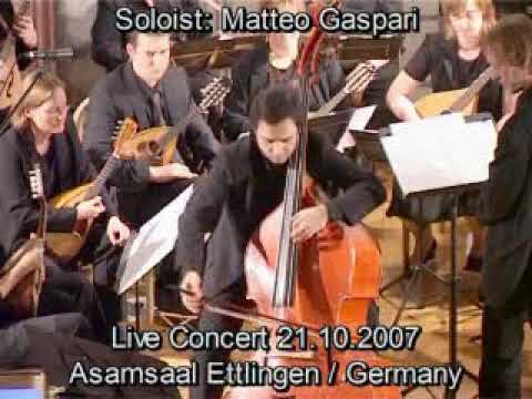 K.D. von Dittersdorf - Double Bass Concerto with Mandolin Orchestra