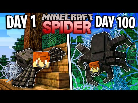Ryguyrocky - I Survived 100 Days as a SPIDER in Minecraft