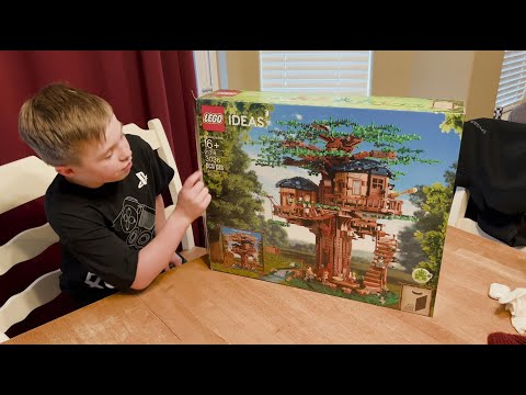 LEGO Tree House Review 21318 - Pros and Cons