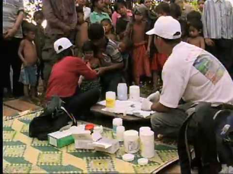 Top Health News in 2008