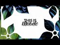 Romain Garcia Blue Parrot Extended Mix