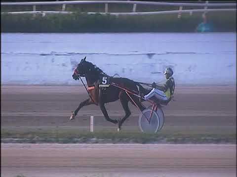 Trotto 13/09/2019 - 8ª corsa