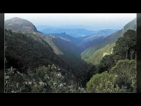 Trío Armonía Huasteca🎻Huapangos del Recuerdo🎻LP Completo
