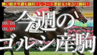 今週のゴールドシップ産駒 (08/08,09)【勢い続き今週も勝利！レコード更新＆3年ぶり勝利！／マイネルリーヒム,レジェンドシップほか】