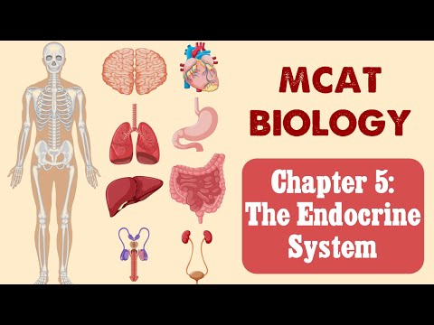 MCAT Biology: Chapter 5 - The Endocrine System (1/1)