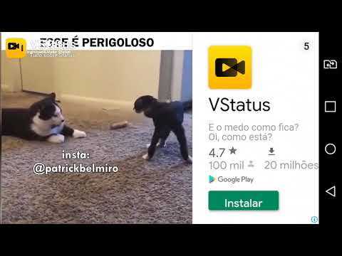 Nunca mais entrego pizza!!😰😱