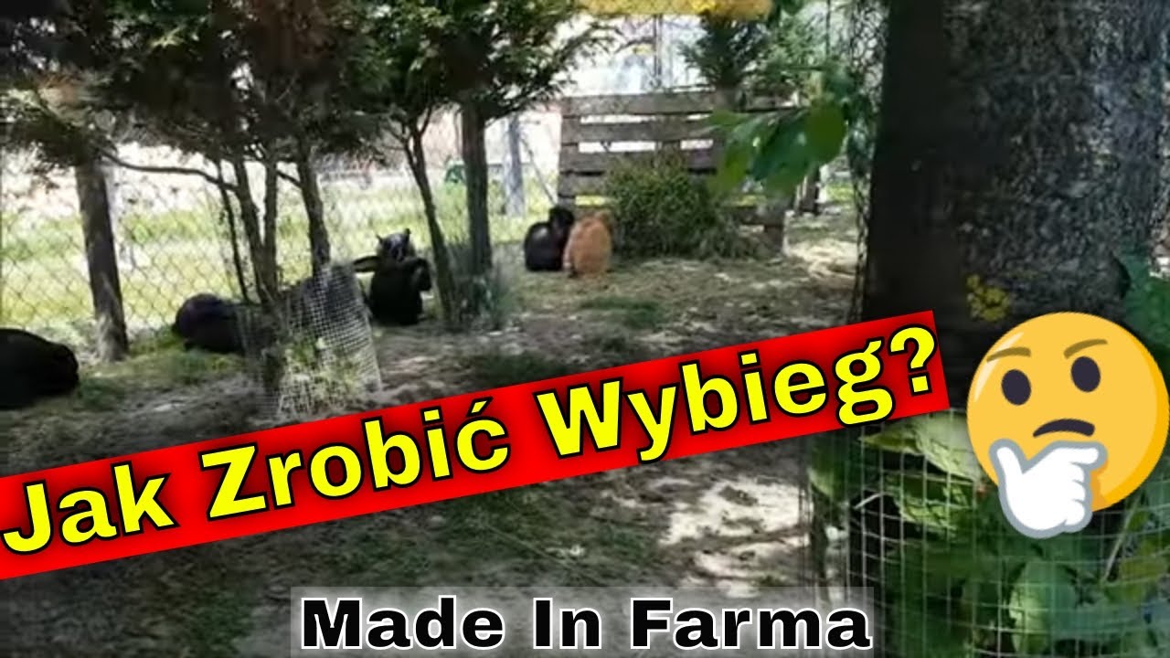 Podziękowania dla Inwestorów! | Jak zbudować wybieg dla królików Kilka Farmerskich Porad!