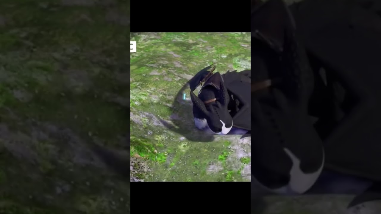 Thunder and Toothless #nightfury #httyd2 #ninerealms