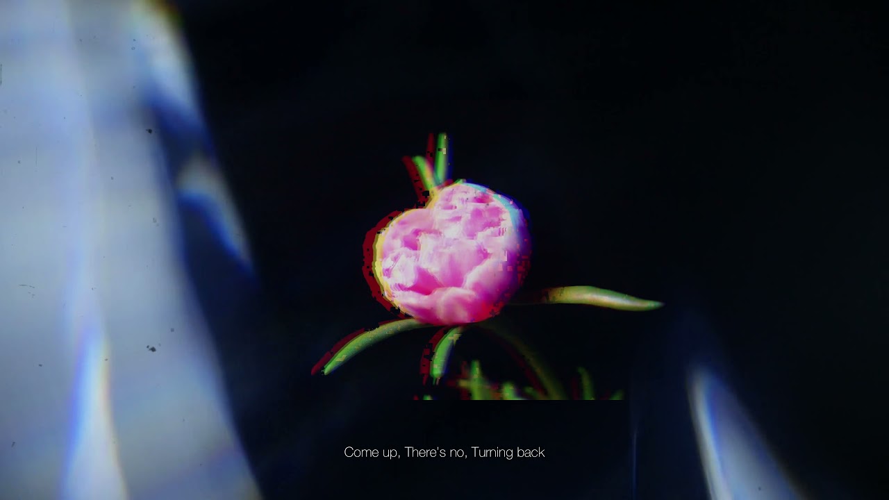 Subtitle - รับทำ lyric video แบบ minimal (loop) - 2