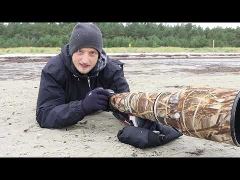 Vogelfotografie am Strand (mit Chris Kaula)