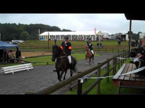 DJIM 2011 Kronshof - Sonntag (H-Finals) - www.isibless.de