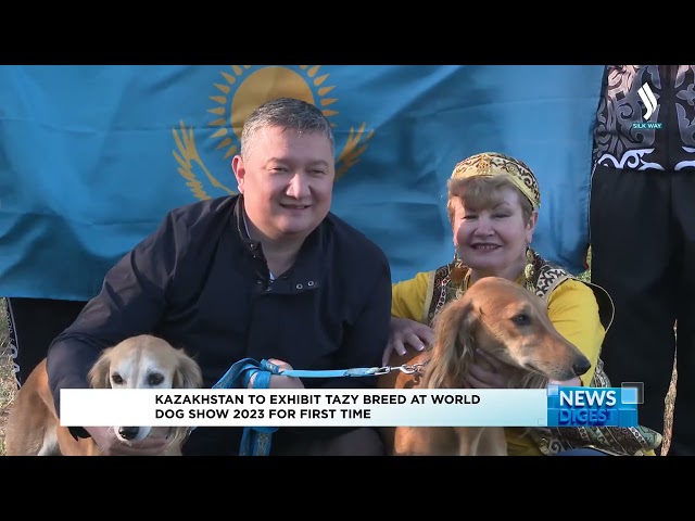 Kazakhstan to exhibit Tazy breed at World Dog Show 2023 for first time