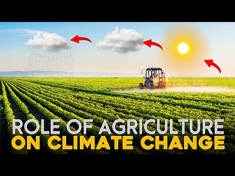 Organic Food and Climate Change