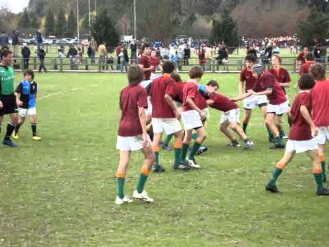 CUBA M 15 try a Newman