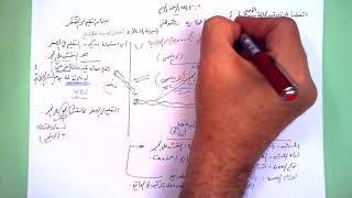 50 ★ التعليم في الصِّغَر image