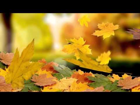 Листопад. Футаж