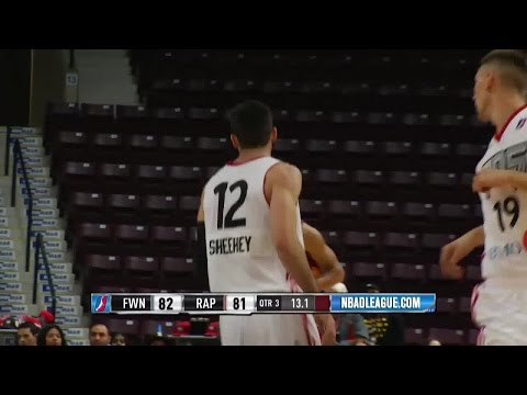 Highlights: Will Sheehey (23 points)  vs. the Mad Ants, 12/1/2016