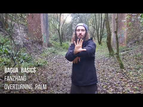 Bagua Basics - Fanzhang