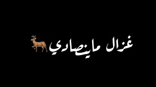 غزال ماينصادي صيادي غزال ماينصادي عبدالمحيد عبدالله كرومات شاشة سوداء من دون حقوق جاهز للتصميم2024