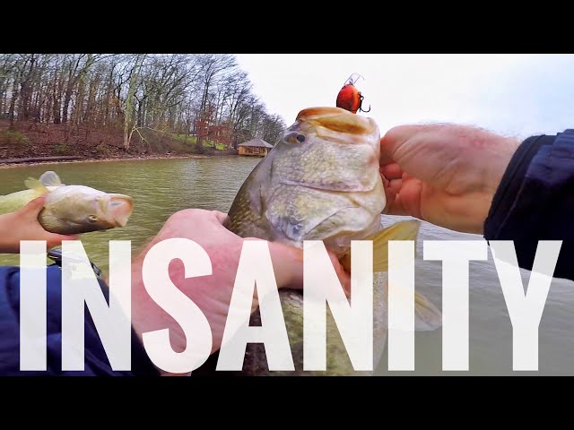 INSANE Bass Fishing with Crankbaits!