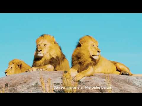 Mert Ali  & Stap - Afrikalı ( Video)