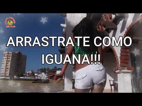 Mister Corcuera - Perrea Mami Perrea  (Video Lyrics)