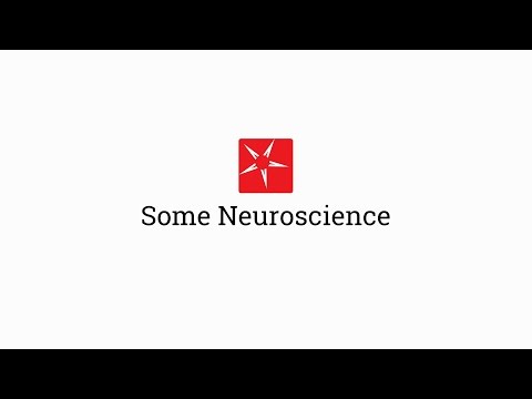 05 Importance of the pre frontal cortex 2016 YouTube 1080p