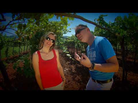 Skupina AMOR  -  Amor Amore /// 4K  ( Offical spot 2018 )