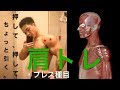 【肩トレ】どデカイ肩を作ろう!!(ほんの少し解剖学)