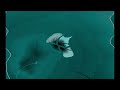 REQUESTED Windows 7 Startup Logon Now My Video Effects In G Major 1998