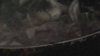 gypsy okie beans  gypsyfoodnetwork part 3