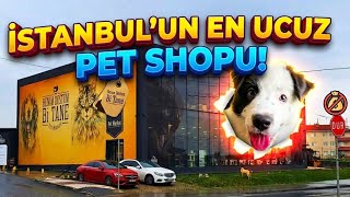 İstanbul'daki En Ucuz ve En büyük Petshop ! 😱