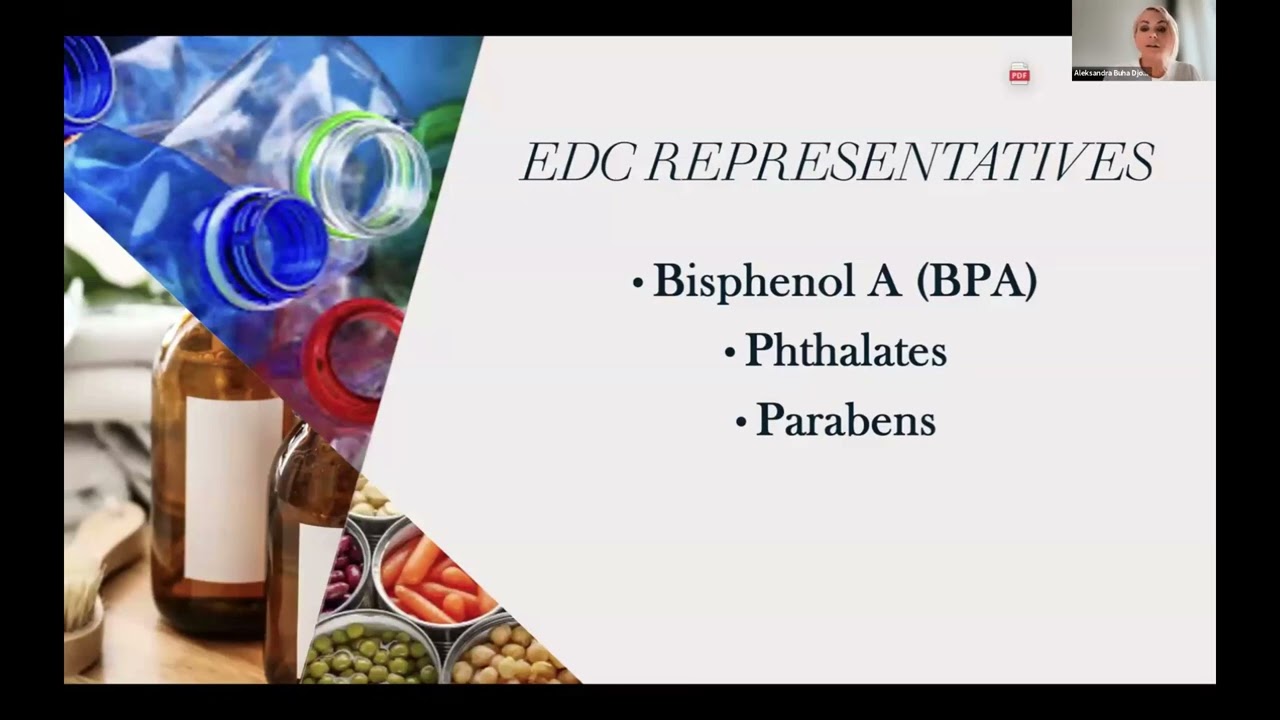 The role of endocrine-disrupting chemicals in neurodevelopment