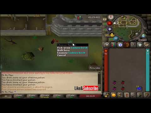 Red Berries Osrs