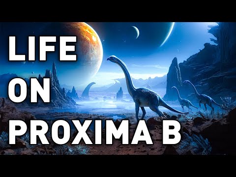 There May Be Life On Proxima Centauri B! | Space Documentary