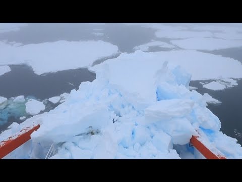 Antarktis-Expedition: Eisbrecher rammt Eisberg | DER SPIEGEL