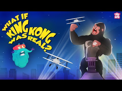 What if King Kong was Real? | Monkey King - The Eighth Wonder of the World | The Dr. Binocs Show
